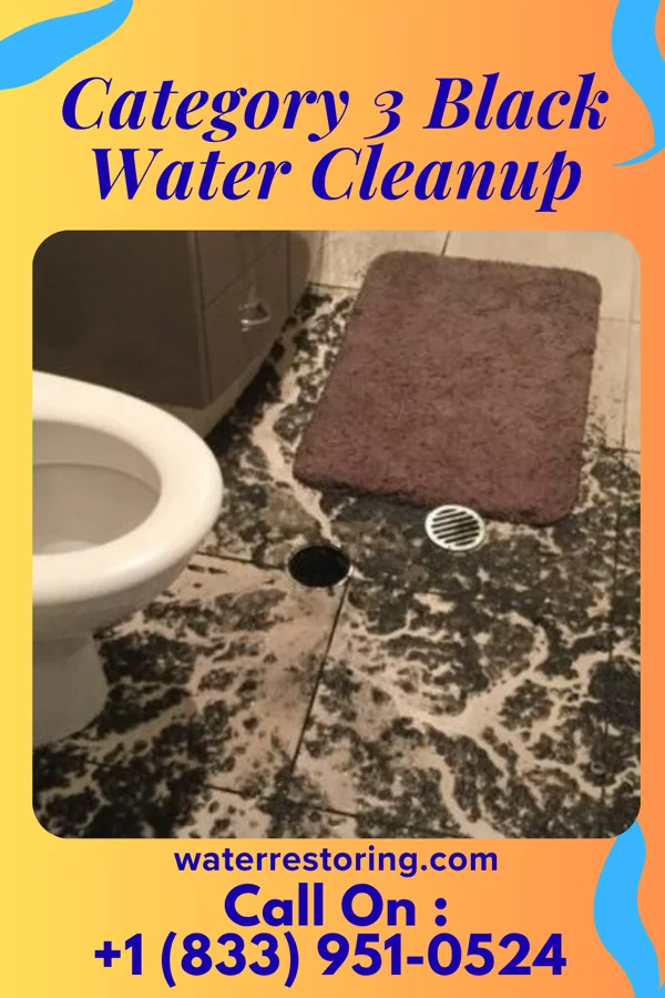 Category 3 Black Water Cleanup in Robeline, LA